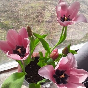 Meet your Posher, Bethany